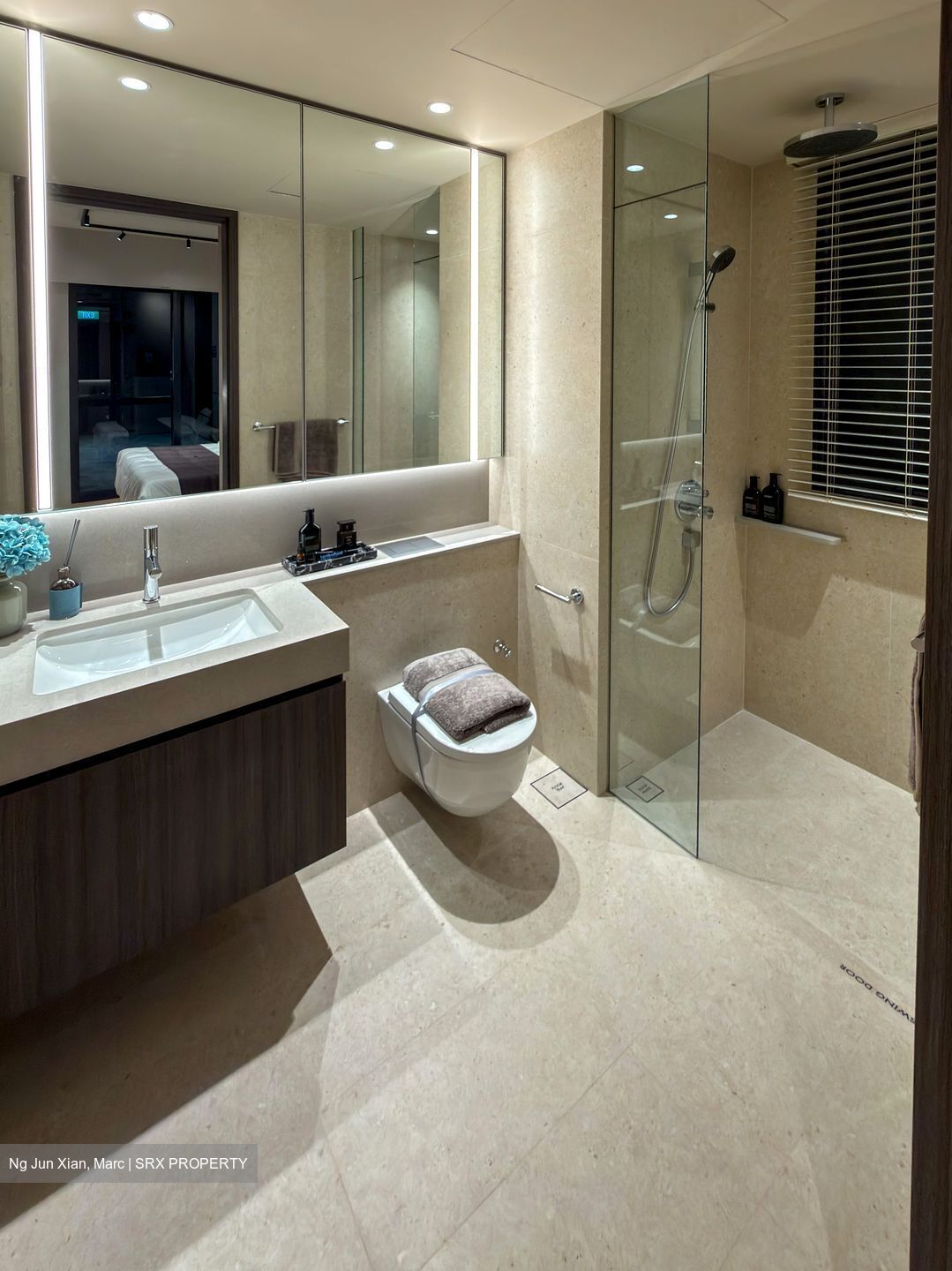 Hudson Place Residences (U/C) (D5), Apartment #573595811
